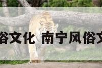 南宁风俗文化 南宁风俗文化介绍