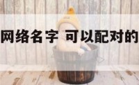 可以配对的网络名字 可以配对的网络名字大全