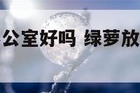 大绿萝放在办公室好吗 绿萝放在办公室有什么好处