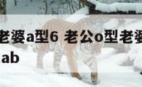 老公o型老婆a型6 老公o型老婆a型孩子为什么是ab