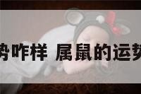 属鼠的运势咋样 属鼠的运势咋样旺财