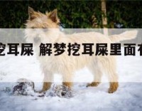 解梦自己挖耳屎 解梦挖耳屎里面有好多石头和铁钉