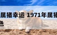 1971年属猪幸运 1971年属猪幸运数字和颜色