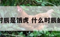 属虎什么时辰是饿虎 什么时辰的虎是饿虎