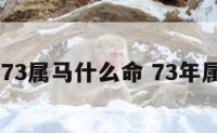 1973属马什么命 73年属马