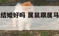 属鼠跟属马结婚好吗 属鼠跟属马的结婚都不幸福吗