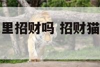 招财猫放在家里招财吗 招财猫能放在家里吗?