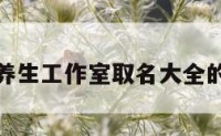 包含养生工作室取名大全的词条