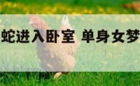 单身女梦到蛇进入卧室 单身女梦到蛇进入卧室什么意思
