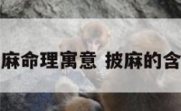 披麻命理寓意 披麻的含义