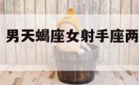 男天蝎座女 男天蝎座女射手座两个婚配好不好