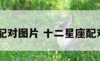 12星座配对图片 十二星座配对图日期