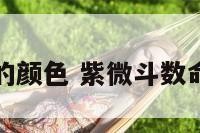 紫微斗数字的颜色 紫微斗数命盘颜色不同