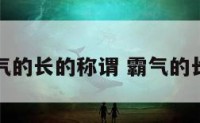 霸气的长的称谓 霸气的长相