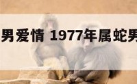 1977蛇男爱情 1977年属蛇男对感情专一吗