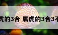 属虎的3合 属虎的3合3不和