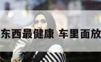 车内放什么东西最健康 车里面放什么比较好