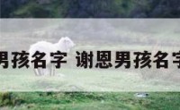 谢恩男孩名字 谢恩男孩名字寓意