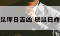 属鼠琢日吉凶 属鼠日命运