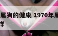1970年属狗的健康 1970年属狗的健康怎么样