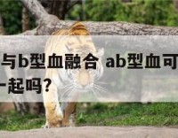 a型血能与b型血融合 ab型血可以和a型血混在一起吗?