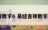 易经吉祥数字6 易经吉祥数字组合368