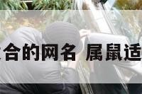 属鼠的人适合的网名 属鼠适合什么网名