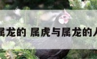属虎与属龙的 属虎与属龙的人合财吗