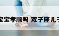 双子座宝宝孝顺吗 双子座儿子孝顺吗