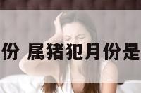 属猪犯冲月份 属猪犯月份是几月份农历