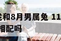 11月女属龙和8月男属兔 11月女属龙和8月男属兔相配吗