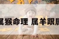 属羊与属猴命理 属羊跟属猴的人