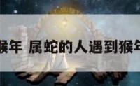 属蛇人见猴年 属蛇的人遇到猴年运气怎样