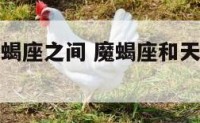 魔蝎座和天蝎座之间 魔蝎座和天蝎座之间的关系