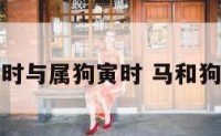 属马午时与属狗寅时 马和狗的下午