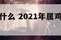 属鸡要注意什么 2021年属鸡需要注意什么