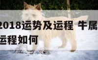 牛属相2018运势及运程 牛属相2018运势及运程如何