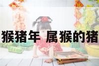 属猴猪年 属猴的猪年