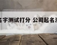 公司起起名字测试打分 公司起名测名打分测吉凶