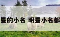 所有明星的小名 明星小名都叫什么