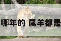 羊属都有哪年的 属羊都是哪些年的