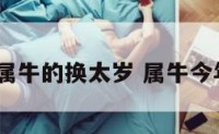 2020属牛的换太岁 属牛今年太岁