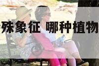 什么植物有特殊象征 哪种植物有特定的象征意义