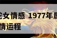 1977年蛇女情感 1977年属蛇女人2021年感情运程