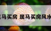 2016属马买房 属马买房风水十六忌