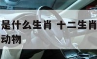 十二生肖等是什么生肖 十二生肖是什么生肖遍身金毛的动物