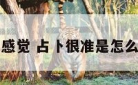 占卜感觉 占卜很准是怎么回事