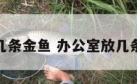 办公室放几条金鱼 办公室放几条金鱼合适