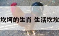 生活坎坷的生肖 生活坎坎坷坷