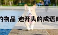 迪开头的物品 迪开头的成语四字词语